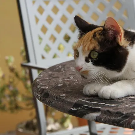 منزل ريفي Casa Calendula