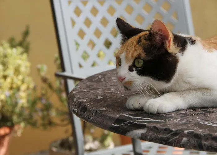 Country house Casa Calendula